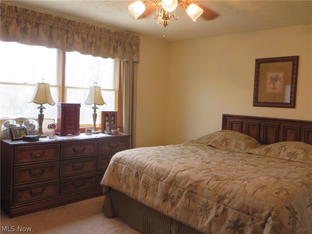 979 Doyle Road Jefferson, OH 44047 - Photo 12 of 21 Gallery Image 12