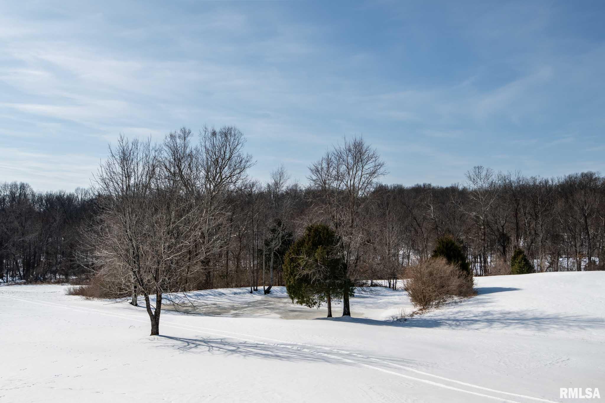 1135 Palzo Road Creal Springs, IL 62922 - Photo 26 of 40