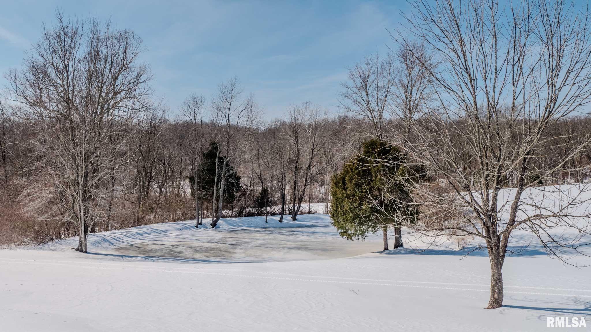 1135 Palzo Road Creal Springs, IL 62922 - Photo 32 of 40