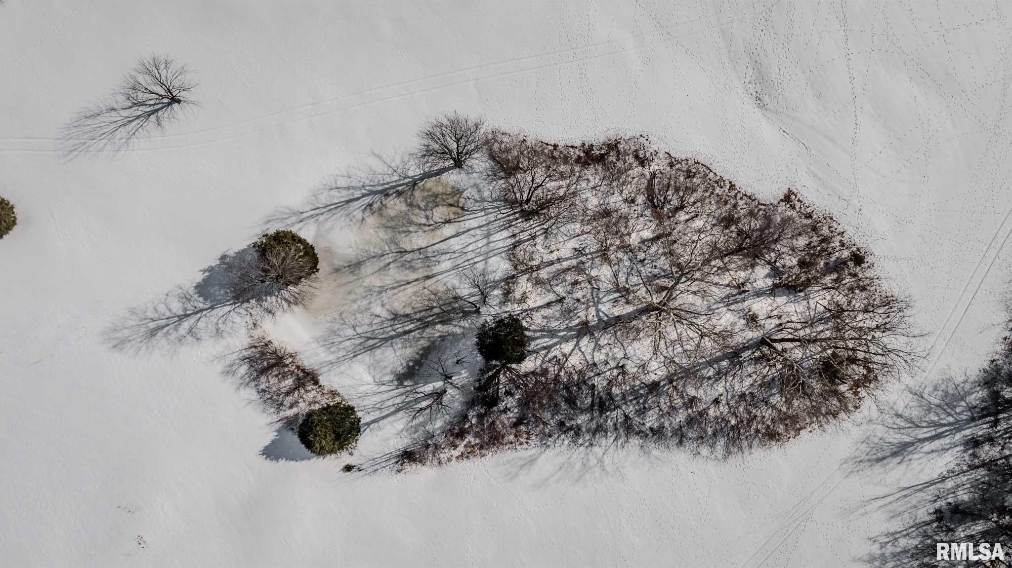 1135 Palzo Road Creal Springs, IL 62922 - Photo 36 of 40