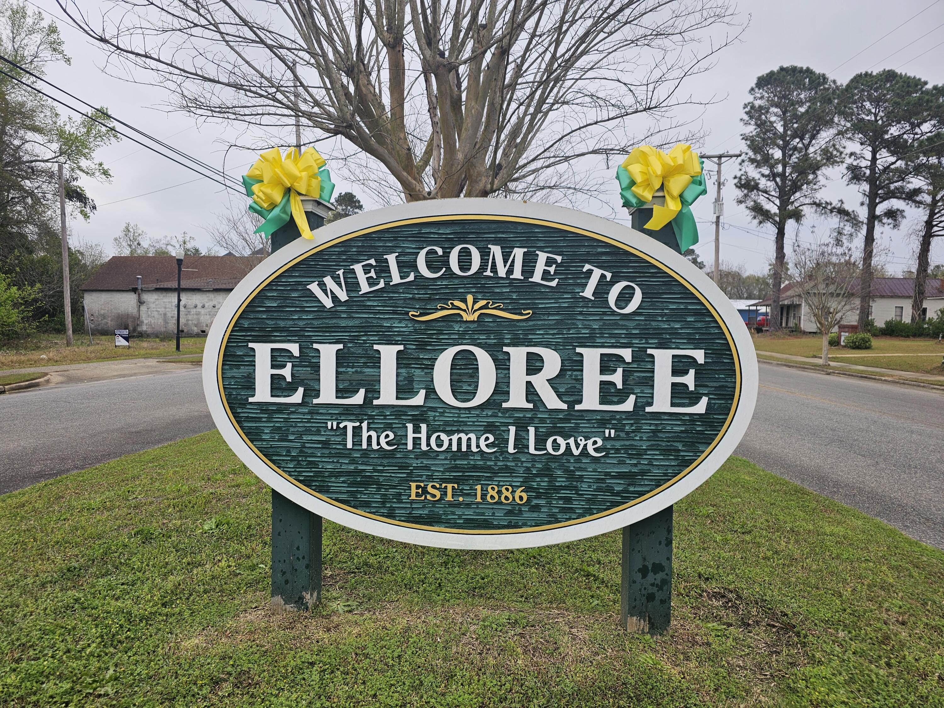 651 Hardware Street Elloree, SC 29047 - Photo 35 of 48