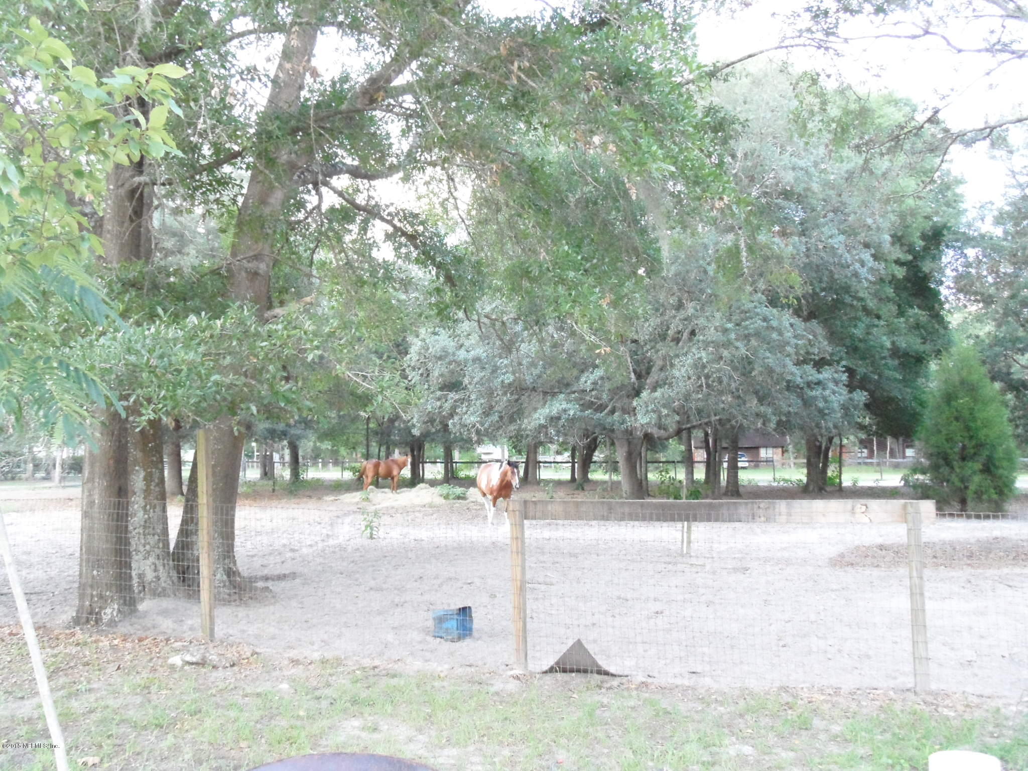 2873 Eagle Point Road Middleburg, FL 32068 - Photo 24 of 50 Pasture