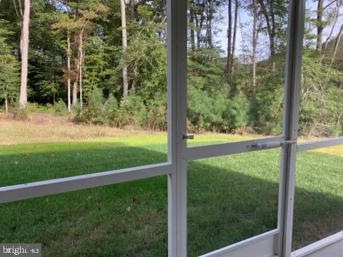 a view of backyard with large trees