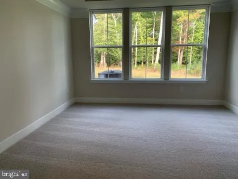 a view of room with window