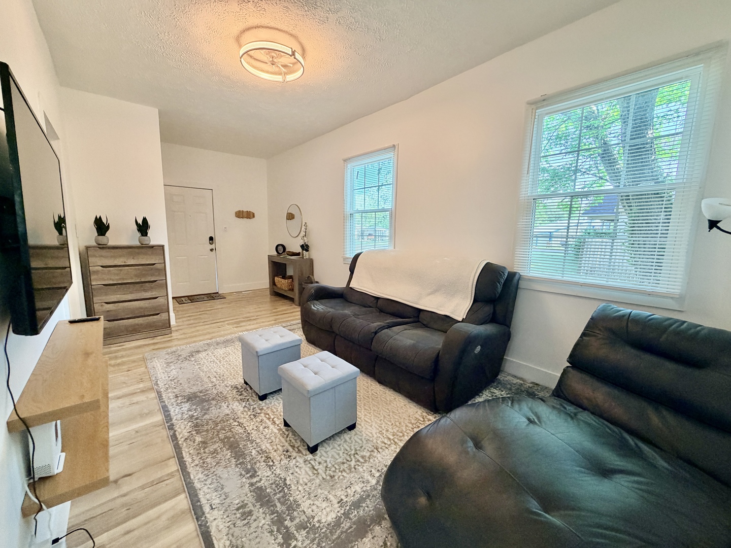 1112 Ophia Street Metropolis, IL 62960 - Photo 8 of 32 a living room with furniture and a flat screen tv