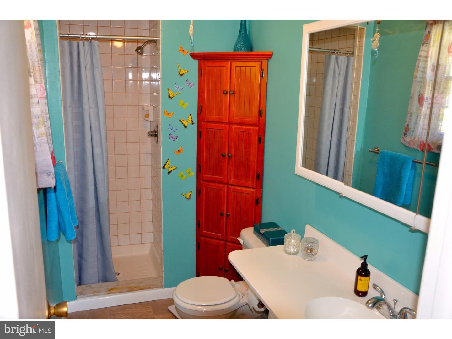 313 West Neversink Road Reading, PA 19606 - Photo 12 of 25 Bathroom