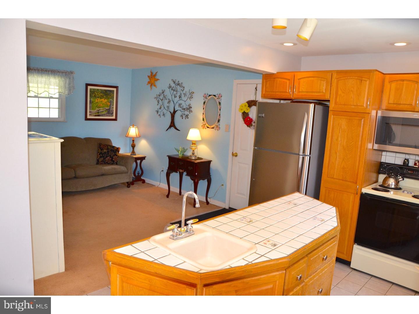 313 West Neversink Road Reading, PA 19606 - Photo 8 of 25 Kitchen