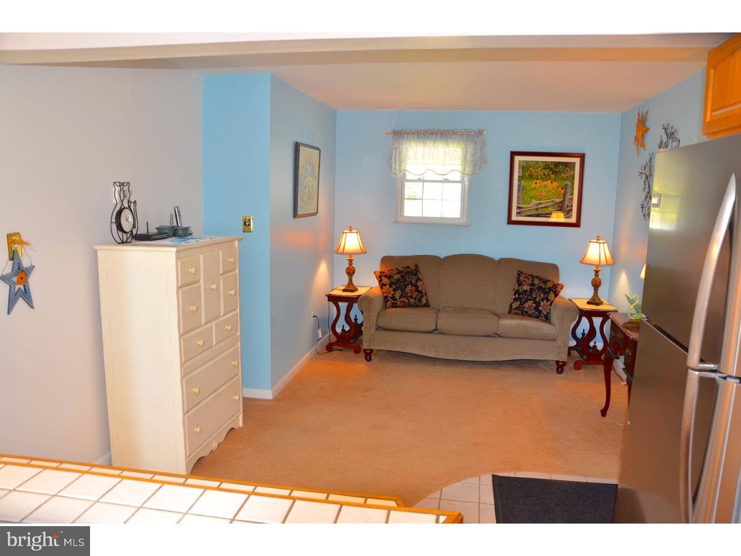 313 West Neversink Road Reading, PA 19606 - Photo 9 of 25 Living Room