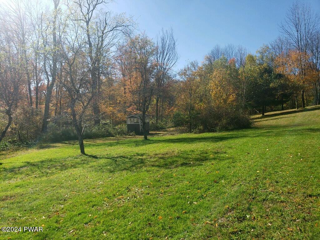 39 Boyds Mills Road Beach Lake, PA 18405 - Photo 40 of 44 Side Yard