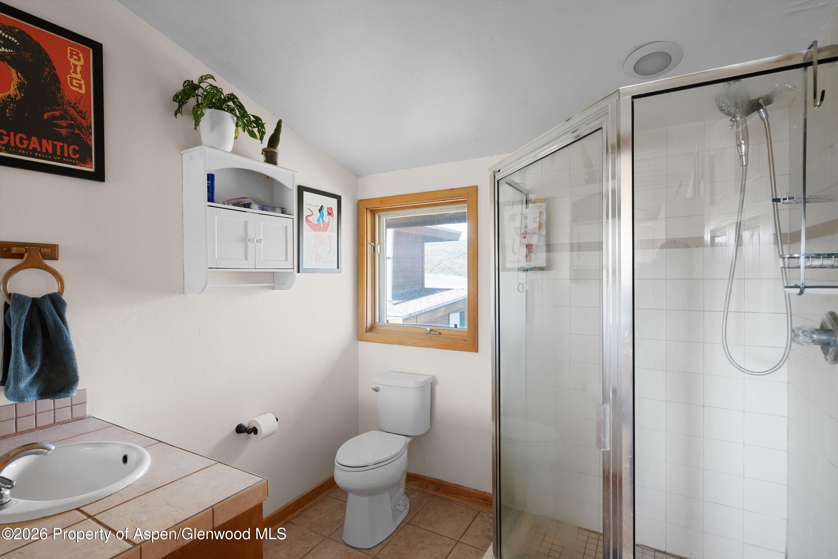 115 Rural Mountain Road Snowmass, CO 81654 - Photo 29 of 37 ApartmentBathroom