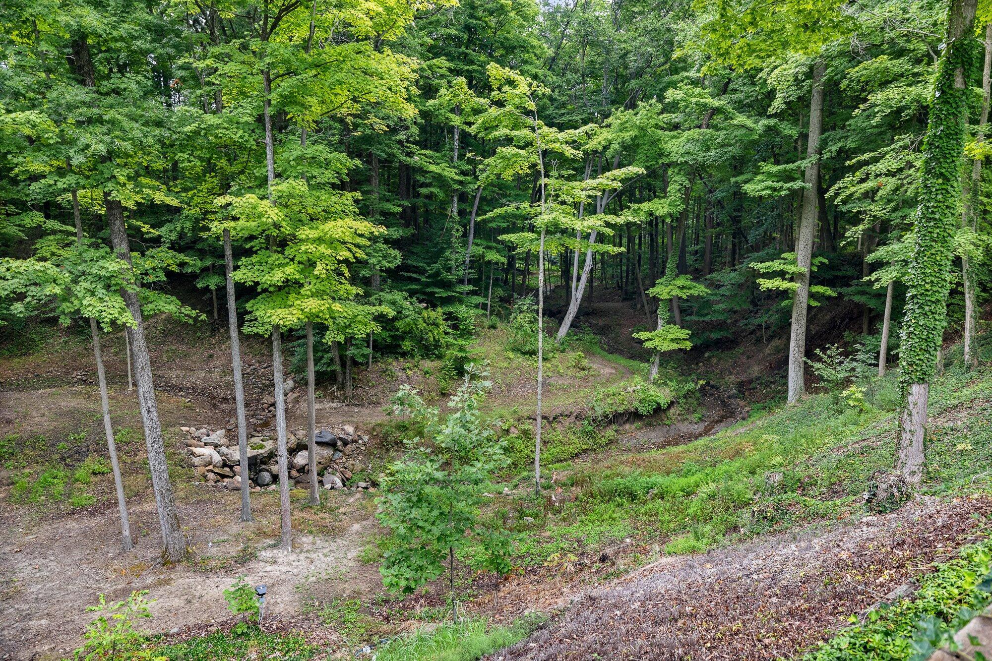 1833 East Hanley Road Mansfield, OH 44903 - Photo 81 of 94 75-ext-ravine-view