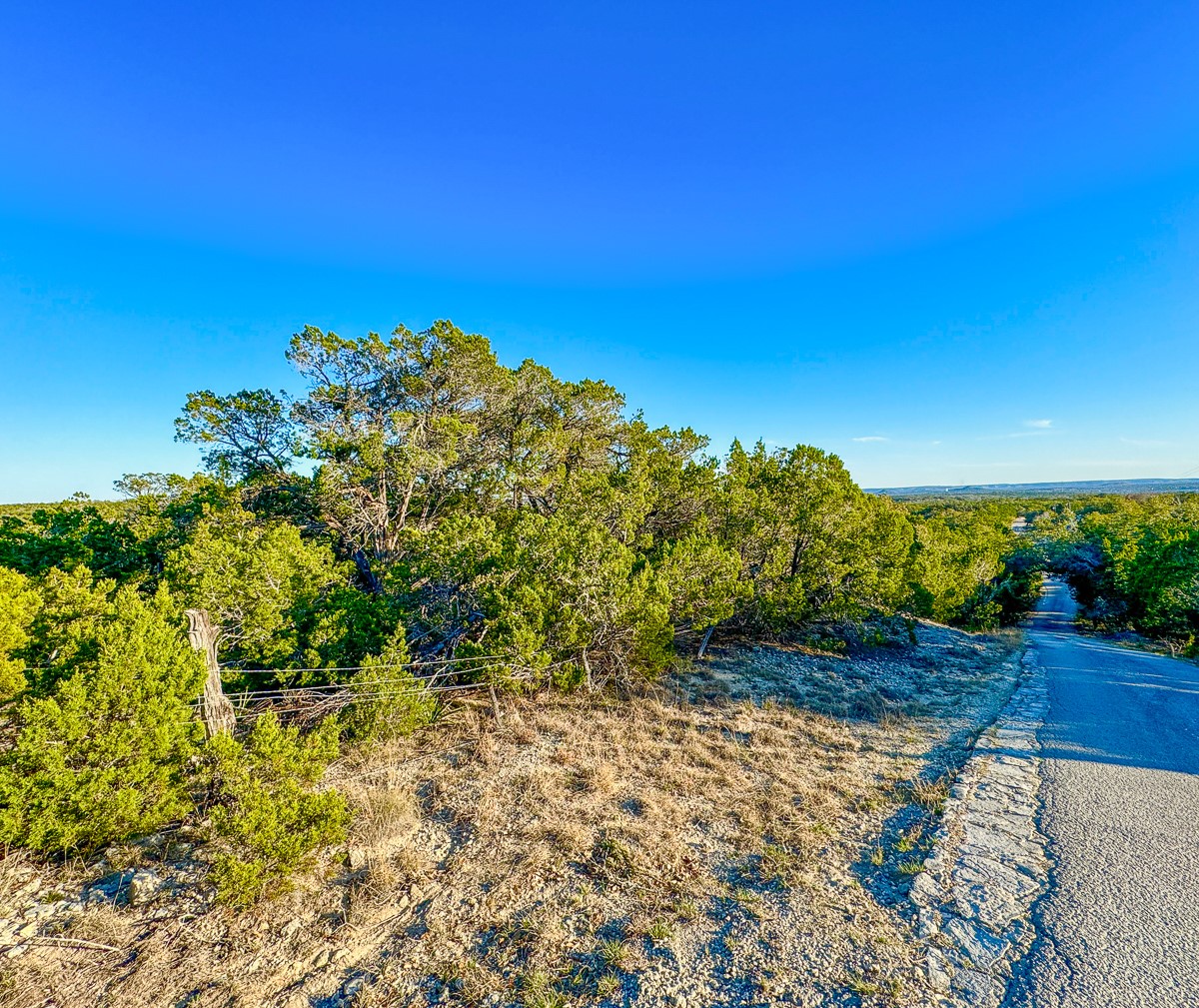 3600 Mt Sharp Road Wimberley, TX 78676 - Photo 11 of 28