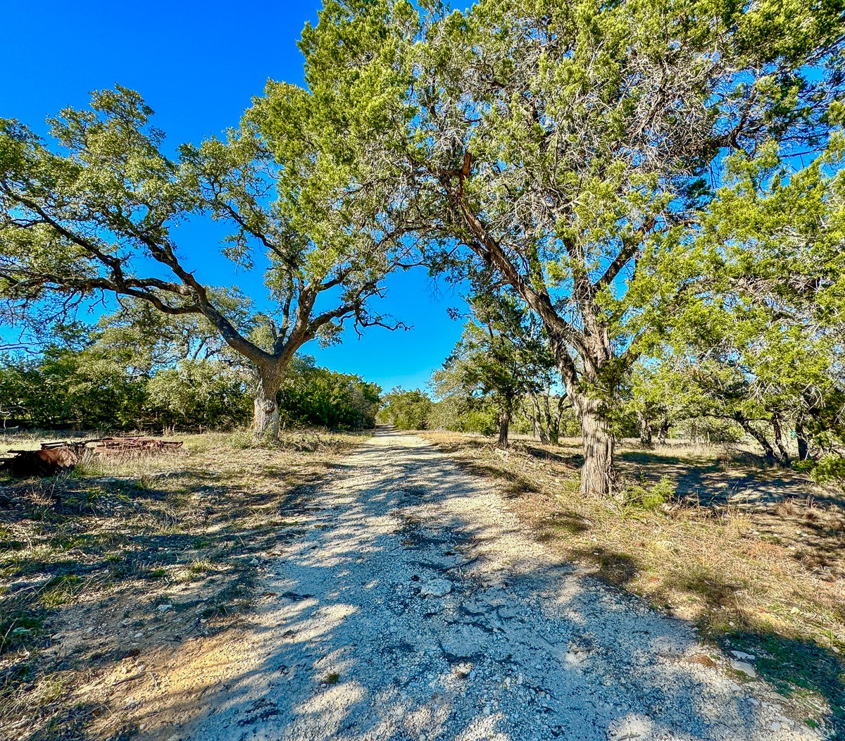 3600 Mt Sharp Road Wimberley, TX 78676 - Photo 6 of 28
