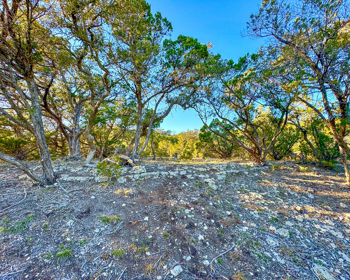 3600 Mt Sharp Road Wimberley, TX 78676 - Photo 9 of 28