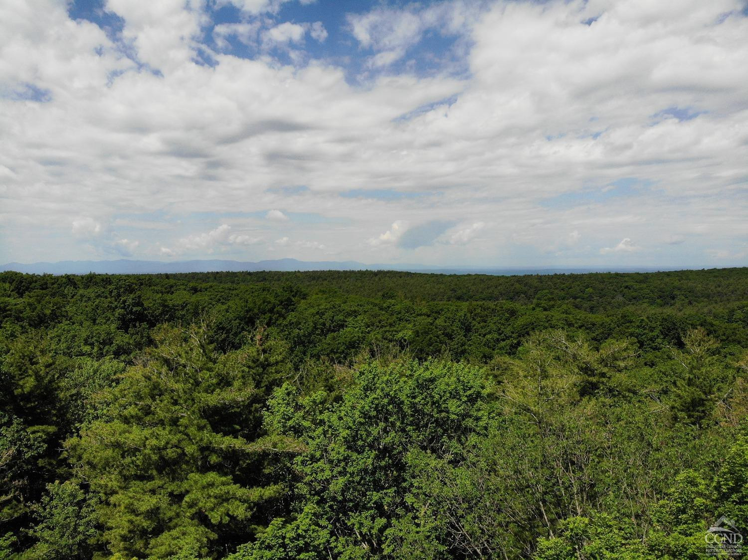 0 Reed Road Chatham, NY 12037 - Photo 2 of 6 view of a bunch of trees