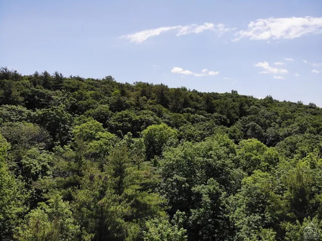 a view of a city and a lot of trees