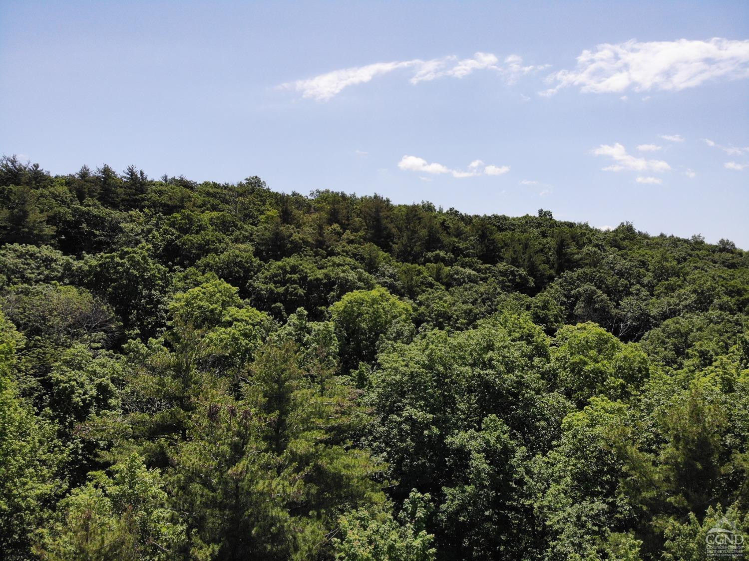 0 Reed Road Chatham, NY 12037 - Photo 3 of 6 a view of a city and a lot of trees