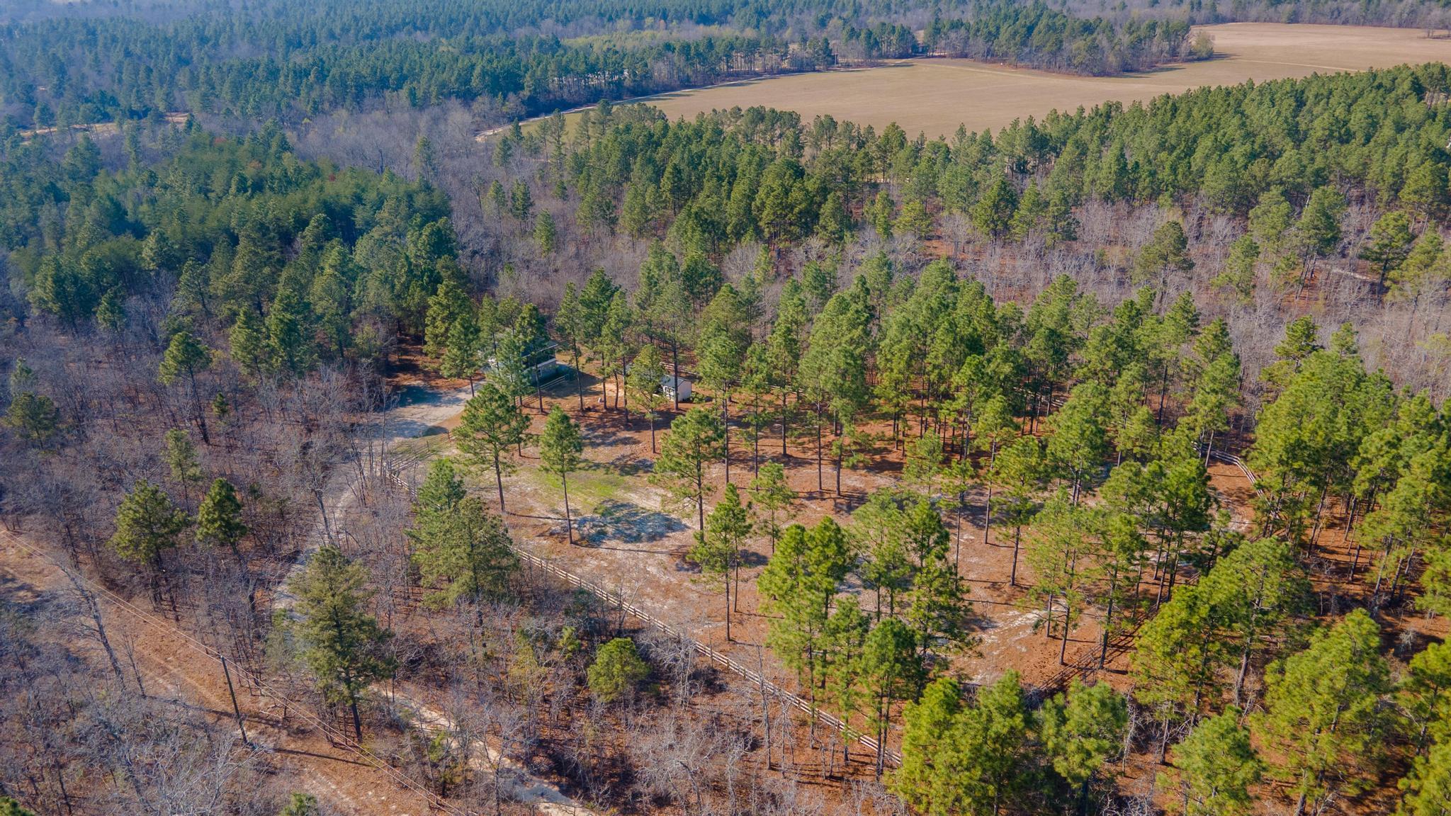 316 Cadle Crossing Road Windsor, SC 29856 - Photo 4 of 30