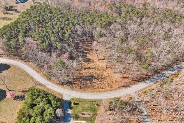 a view of a dry yard with wooden fence