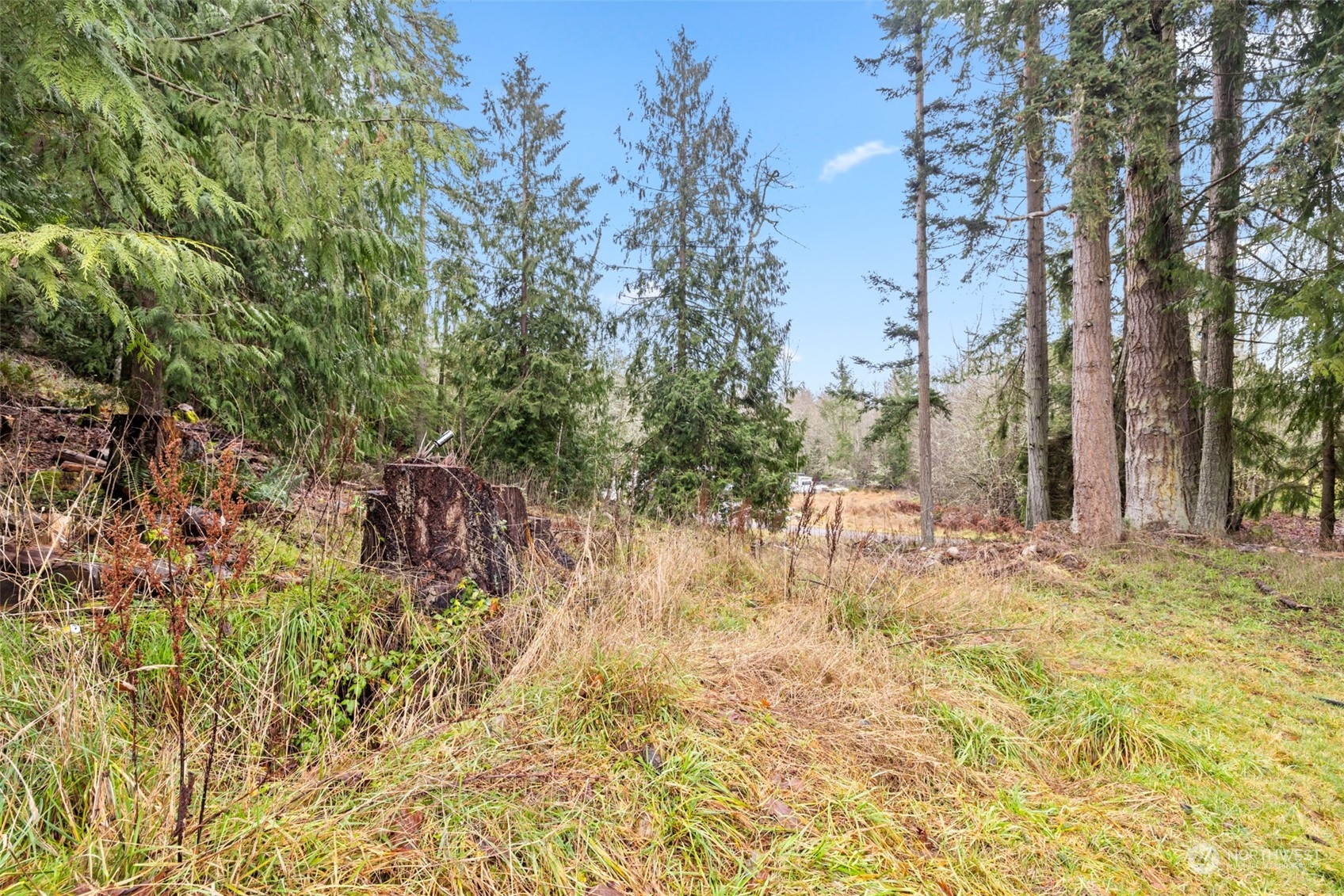 2102 Mt Pleasant Road Port Angeles, WA 98362 - Photo 36 of 40 Gallery Image 36