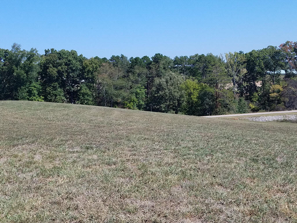 Lot 16 Grainger Landing Rutledge, TN 37861 - Photo 18 of 40 SNAG-22