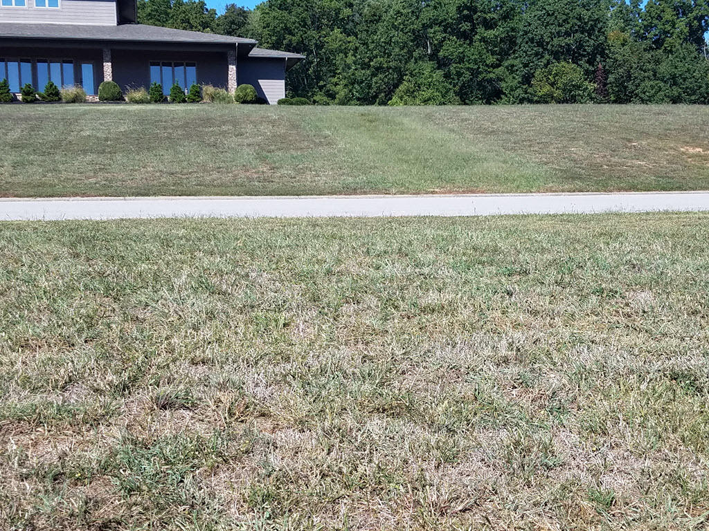 Lot 16 Grainger Landing Rutledge, TN 37861 - Photo 19 of 40 SNAG-23