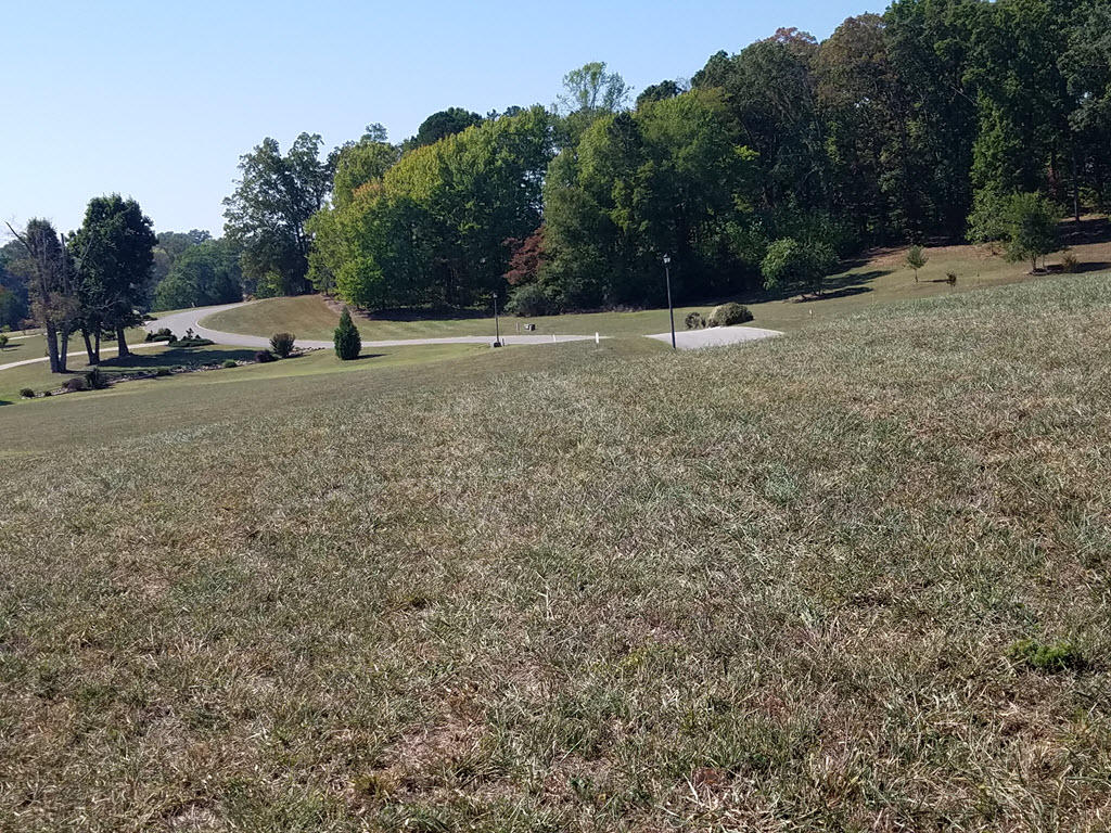 Lot 16 Grainger Landing Rutledge, TN 37861 - Photo 21 of 40 SNAG-25