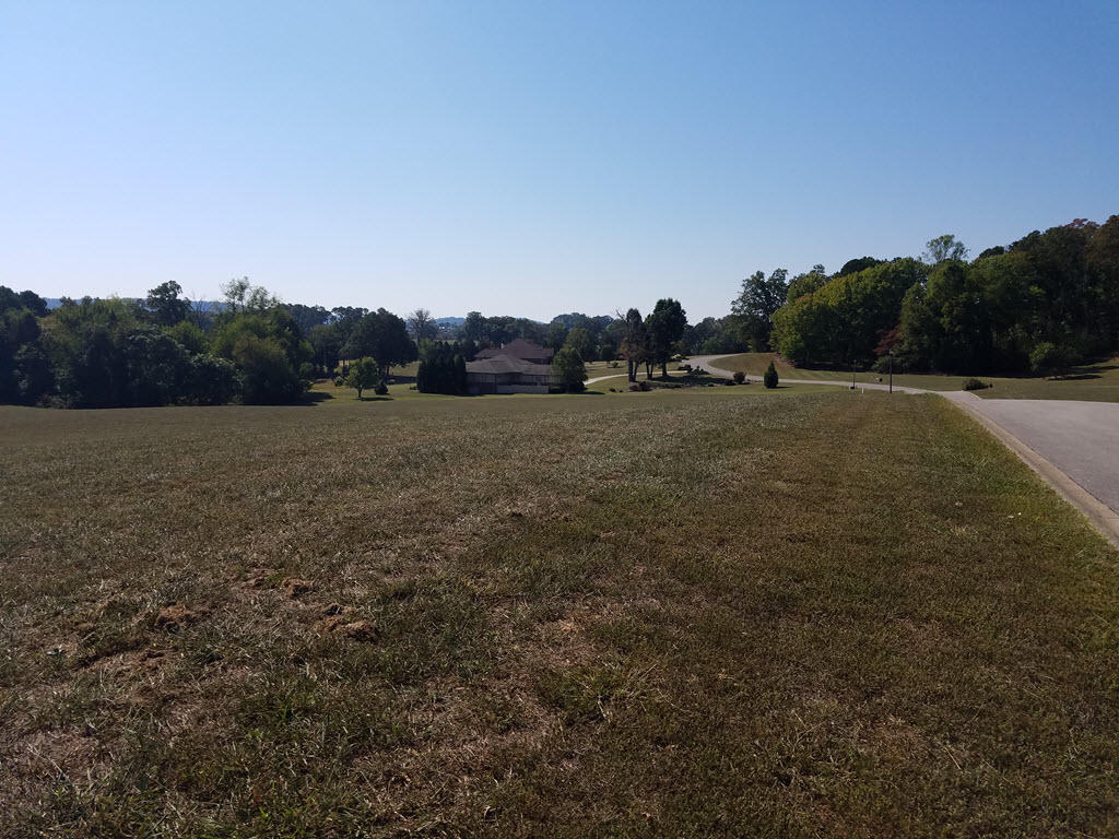Lot 16 Grainger Landing Rutledge, TN 37861 - Photo 10 of 40 SNAG-11