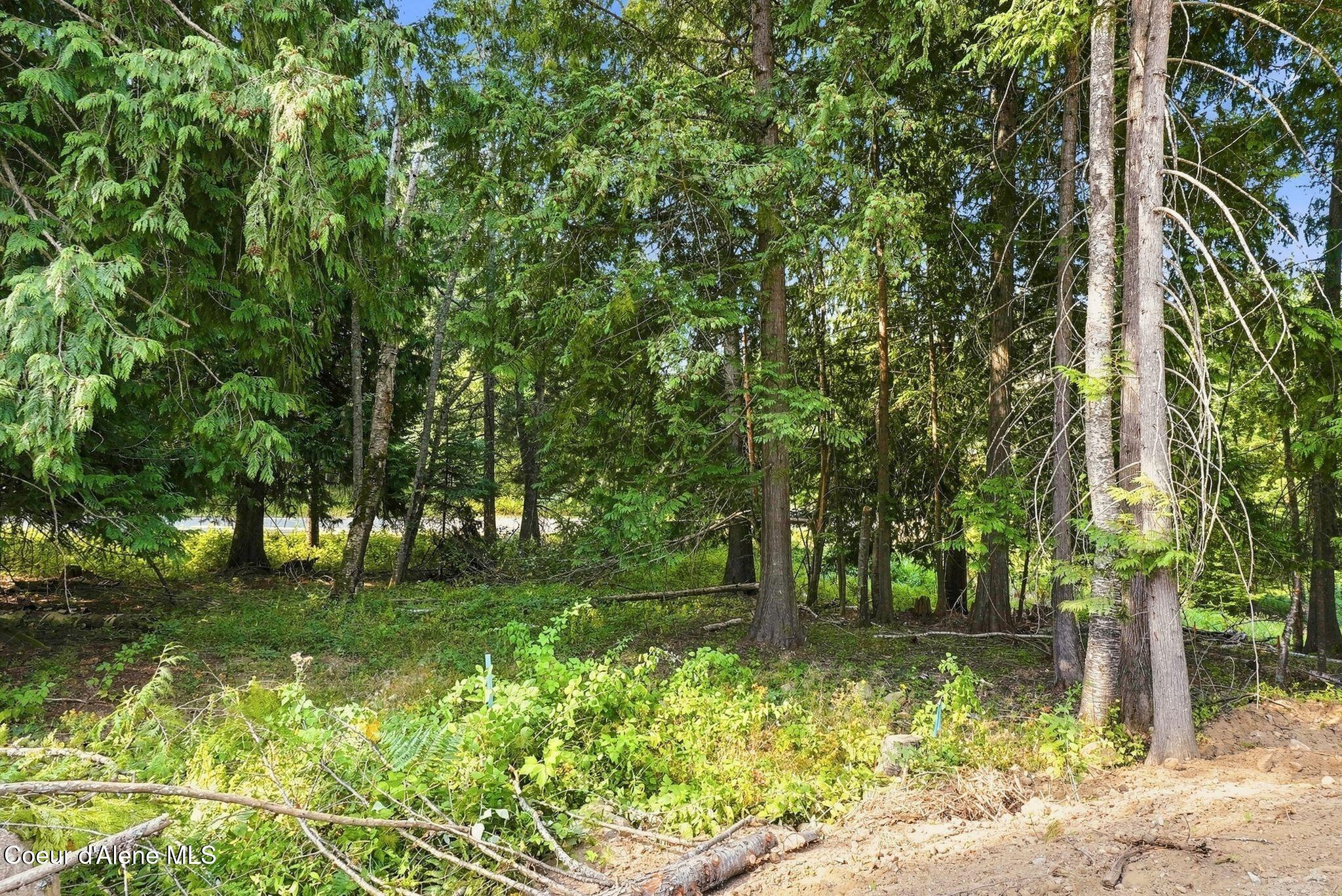 S21 Timber Grove Sandpoint, ID 83864 - Photo 5 of 57 idaho club