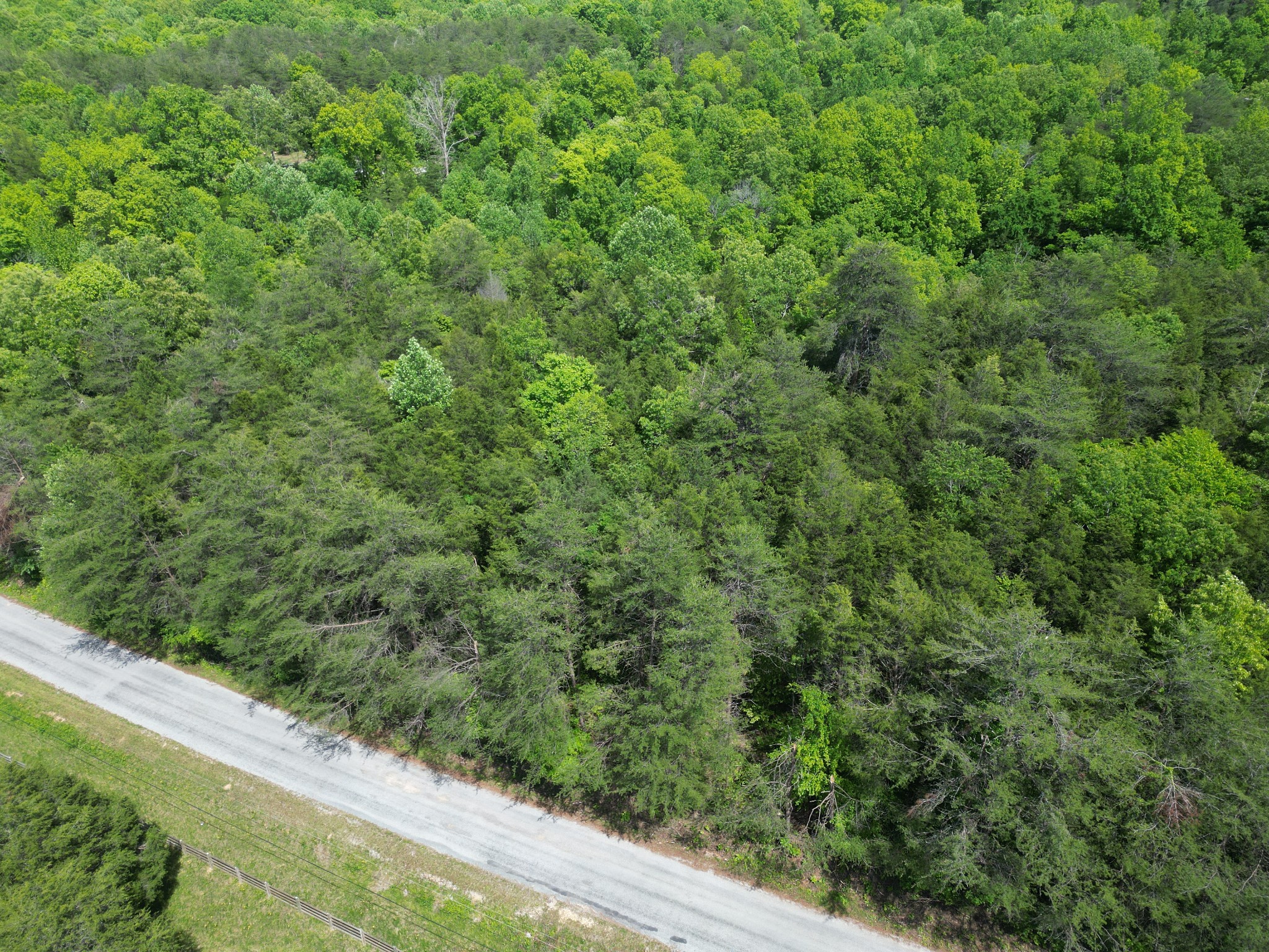 828 McCord Hollow Road Hohenwald, TN 38462 - Photo 31 of 35 a view of a forest with a street
