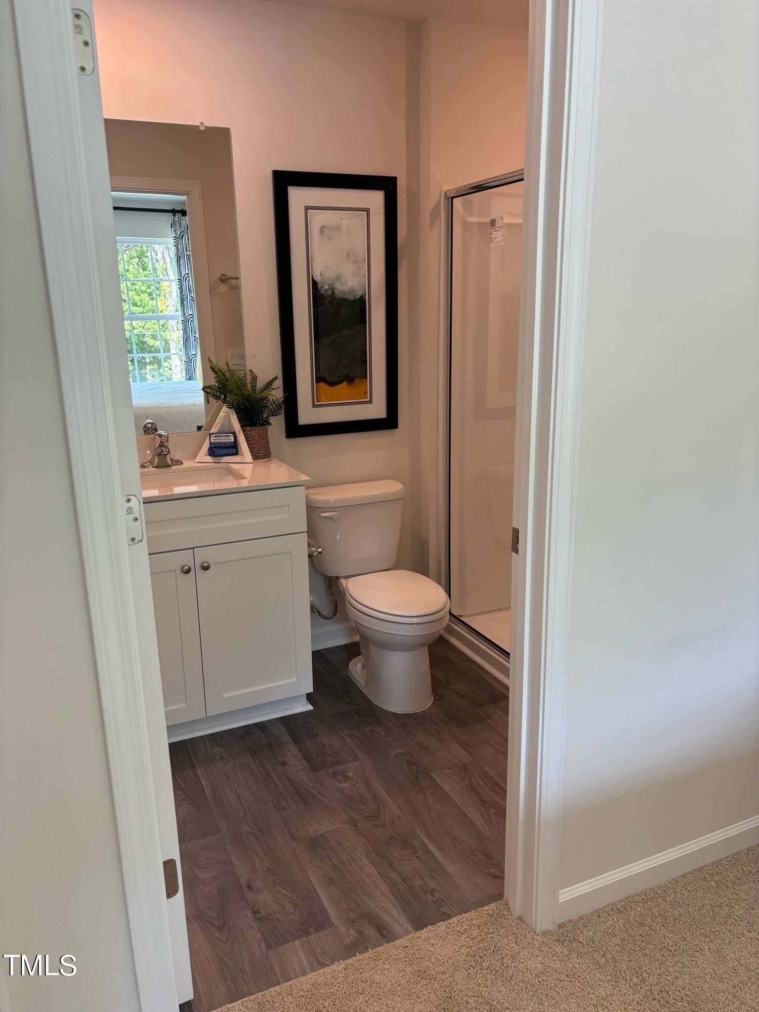 8750 Asher Gray Way Raleigh, NC 27616 - Photo 12 of 22 a bathroom with a toilet sink and mirror