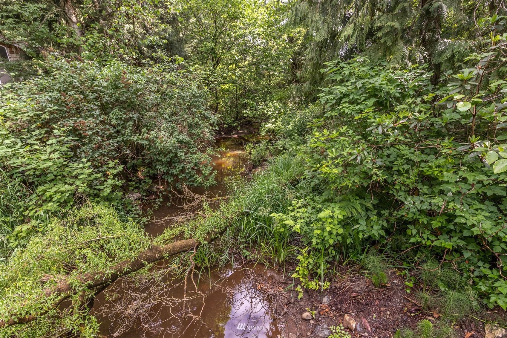 8691 Weidkamp Road Lynden, WA 98264 - Photo 33 of 39 a view of a lush green forest