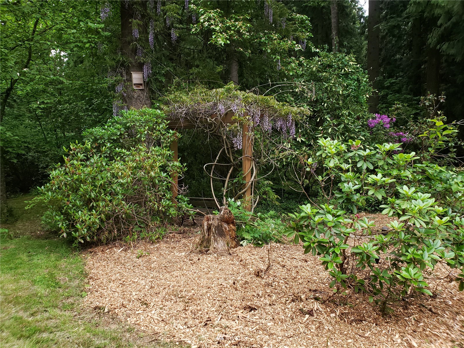 8691 Weidkamp Road Lynden, WA 98264 - Photo 36 of 39 a view of a yard with plants and a bench