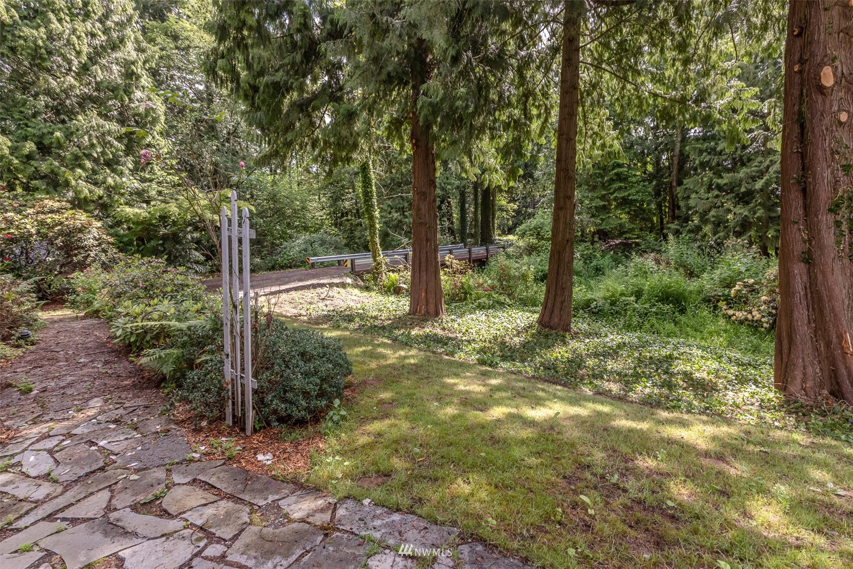 8691 Weidkamp Road Lynden, WA 98264 - Photo 4 of 39 a view of a forest with trees