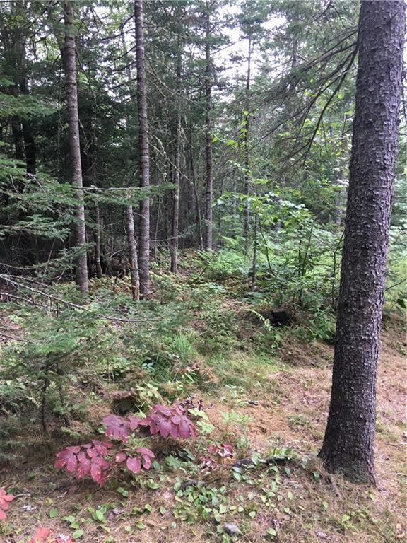 630 East Waldo Road Belfast, ME 04915 - Photo 4 of 18 Photo