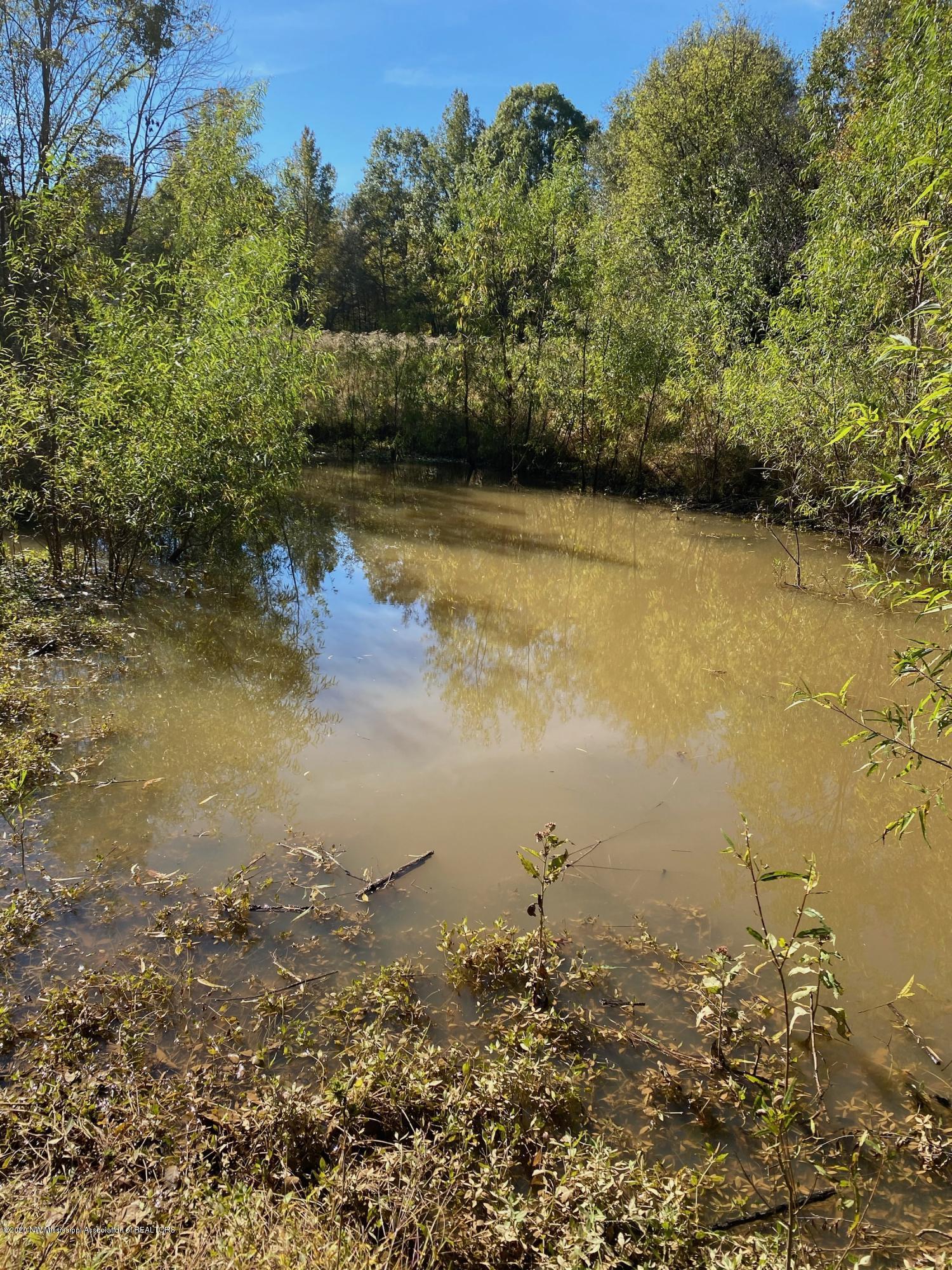 65.5 Sandy Branch Road Sarah, MS 38665 - Photo 1 of 8 Pond