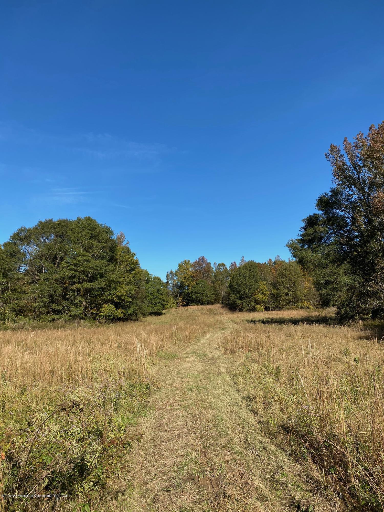 65.5 Sandy Branch Road Sarah, MS 38665 - Photo 2 of 8 Entrance