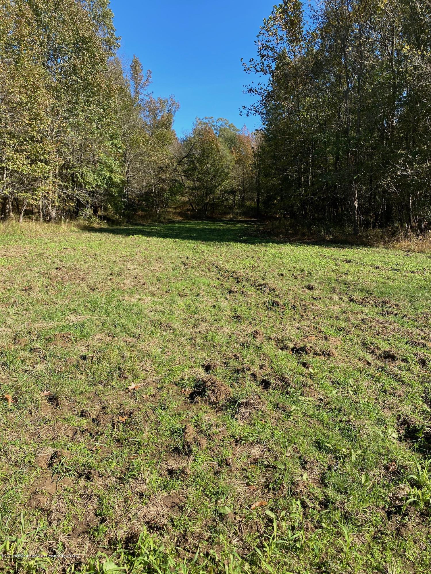 65.5 Sandy Branch Road Sarah, MS 38665 - Photo 4 of 8 Lots of pasture