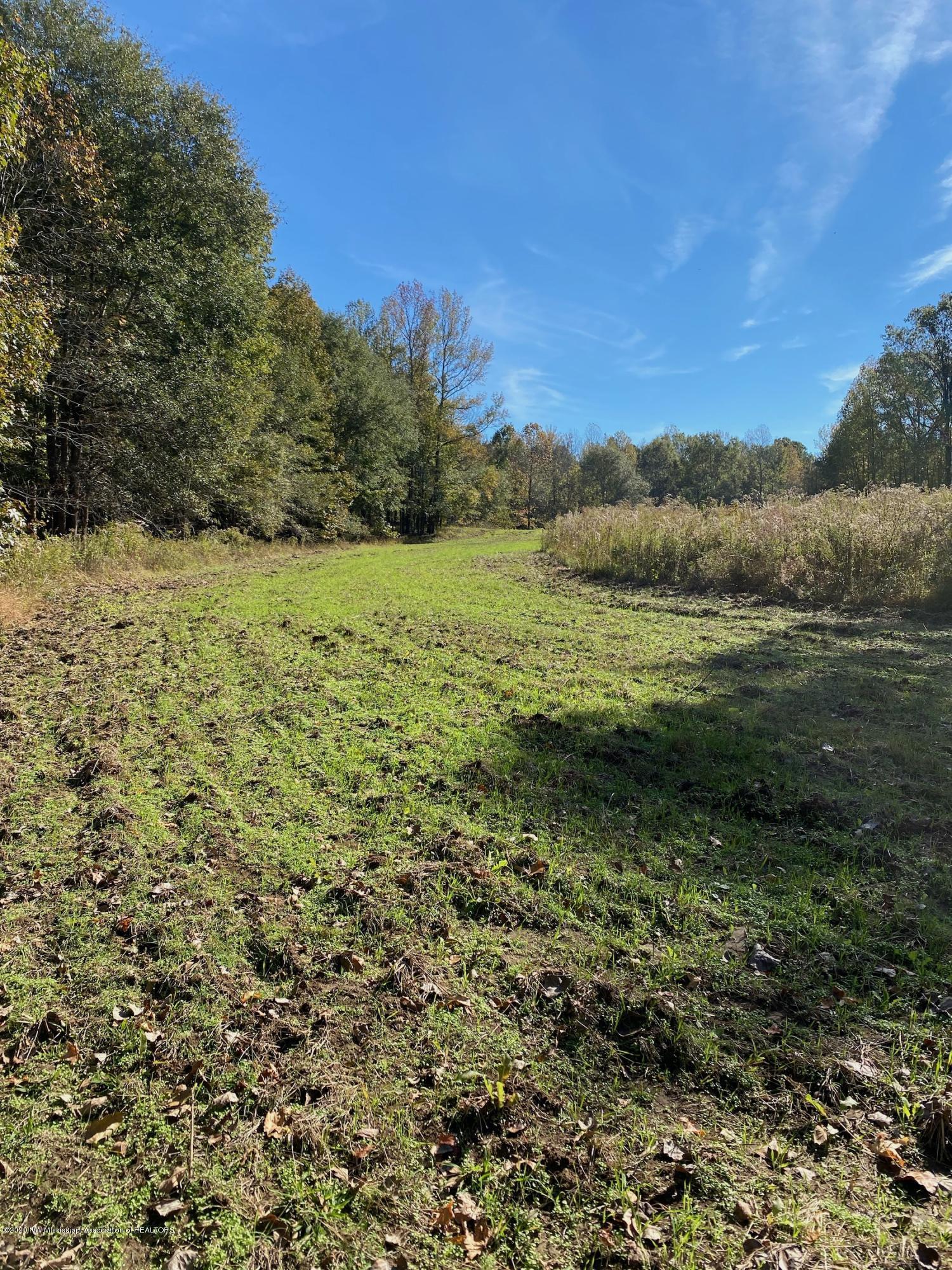 65.5 Sandy Branch Road Sarah, MS 38665 - Photo 5 of 8 Great hunting ground.