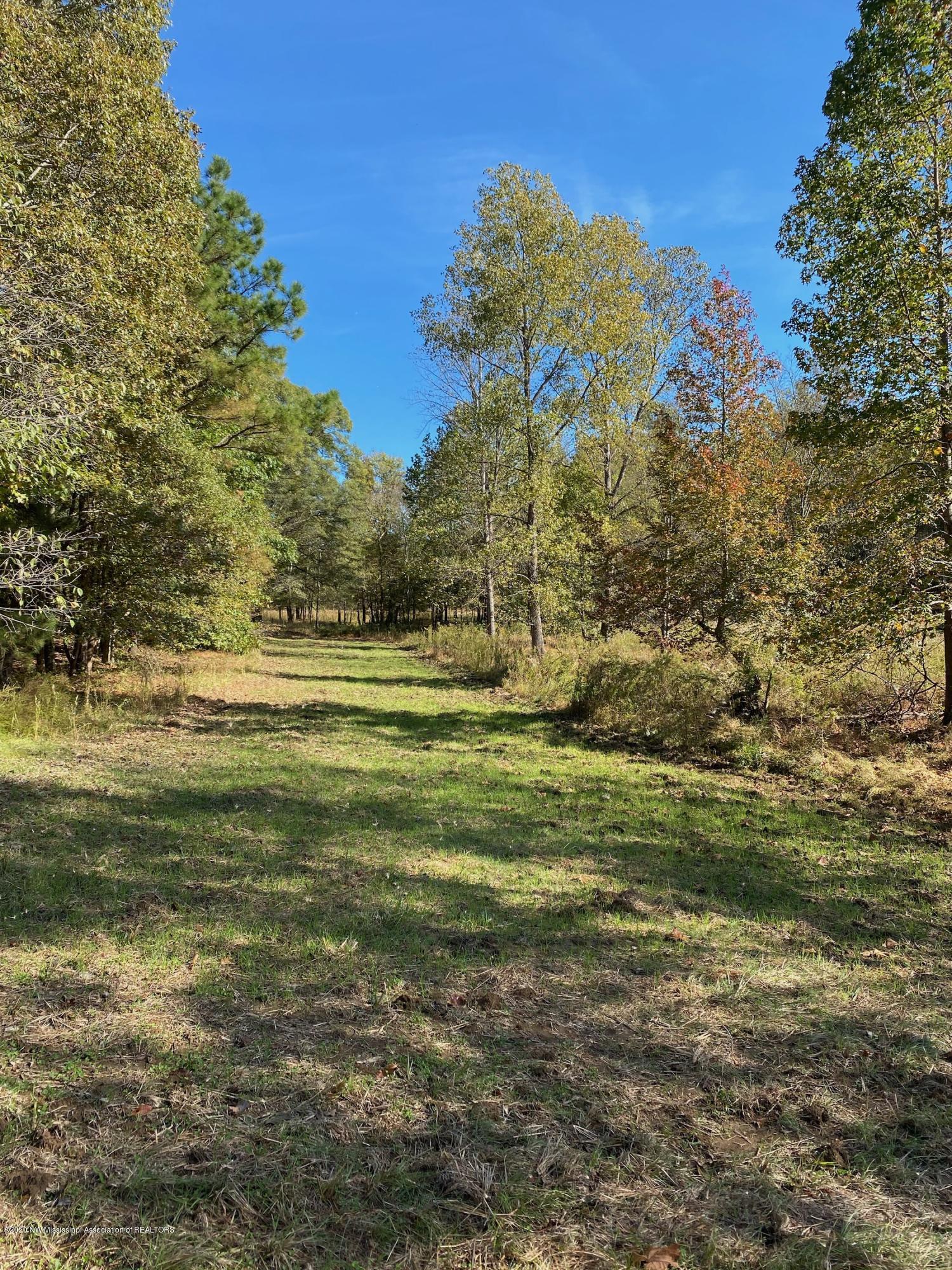 65.5 Sandy Branch Road Sarah, MS 38665 - Photo 7 of 8 Trees, pasture, lake and woods