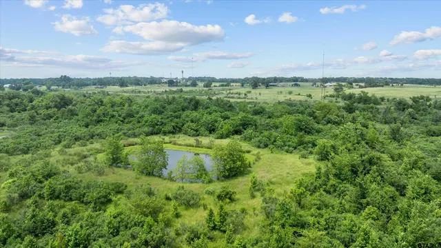 a view of a green field with lots of bushes