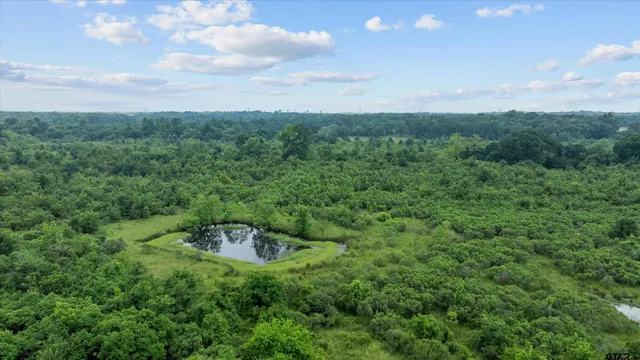 a view of a green field with lots of trees