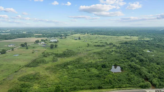an aerial view of residential houses with outdoor space and trees