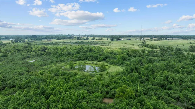 a view of a green field with lots of bushes