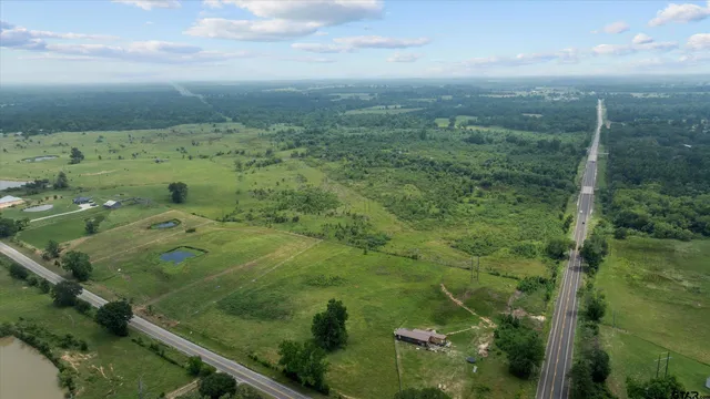 a view of a large trees with a street