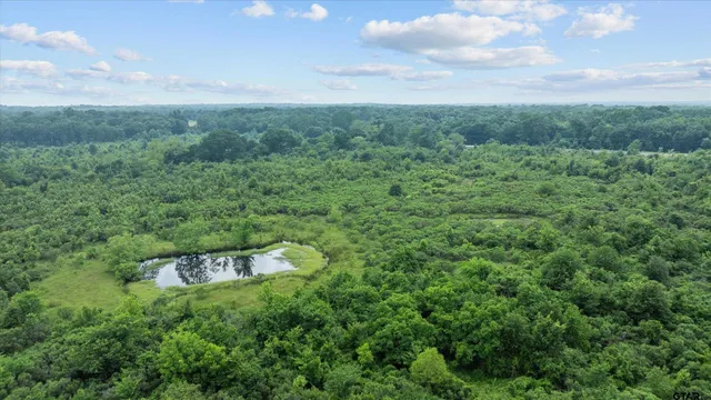 a view of a city with lush green forest
