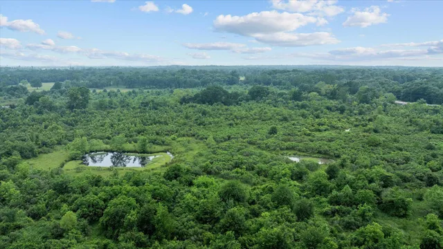 $99,000 | 1995 St Van Tx 75790, Van, TX 75790