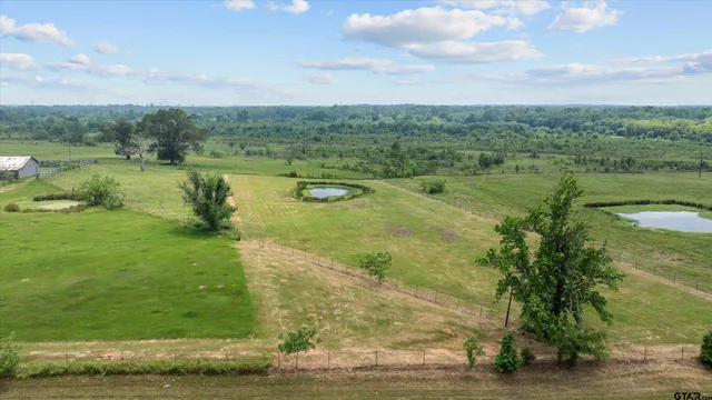 an aerial view of residential houses with outdoor space and trees