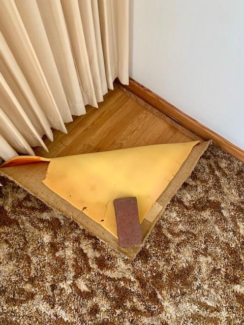 2359 Ritchie Street Aliquippa, PA 15001 - Photo 7 of 25 livingroom hardwood under carpet is beautiful!