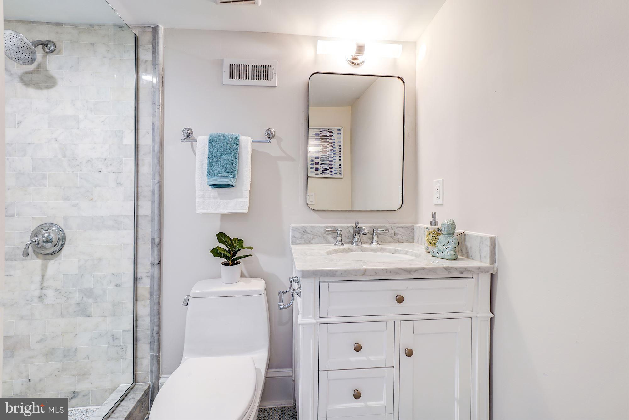 3009 Ordway Street Northwest Washington, DC 20008 - Photo 20 of 33 Third full bathroom